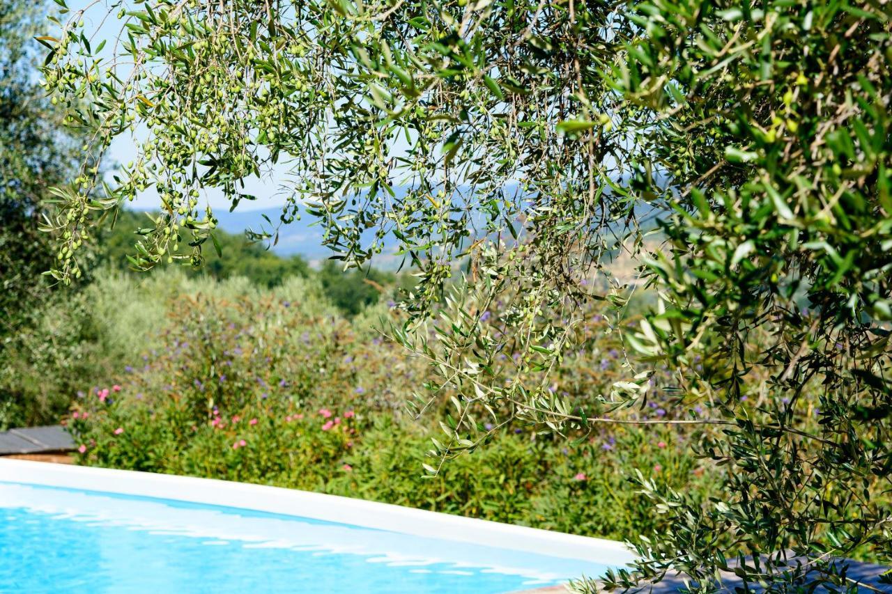 Agriturismo La Pieve Pelago Kültér fotó