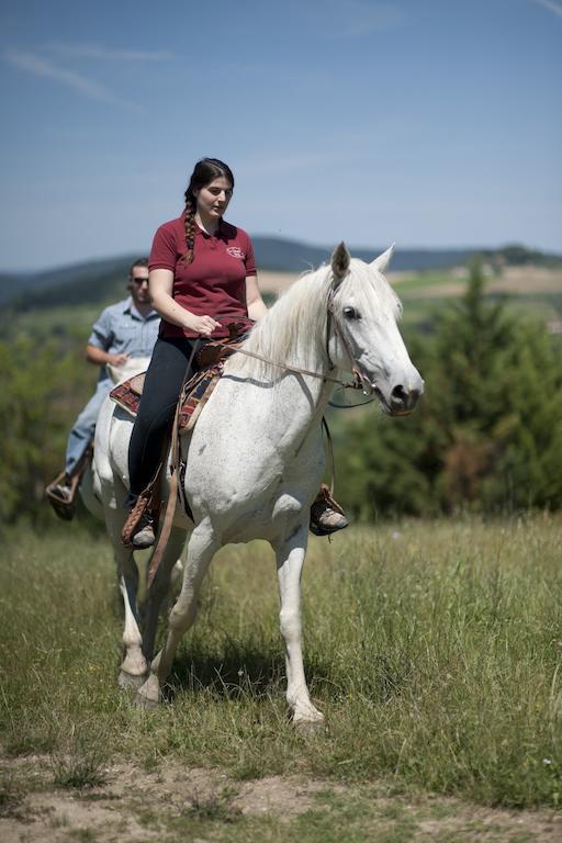 Agriturismo La Pieve Pelago Kültér fotó
