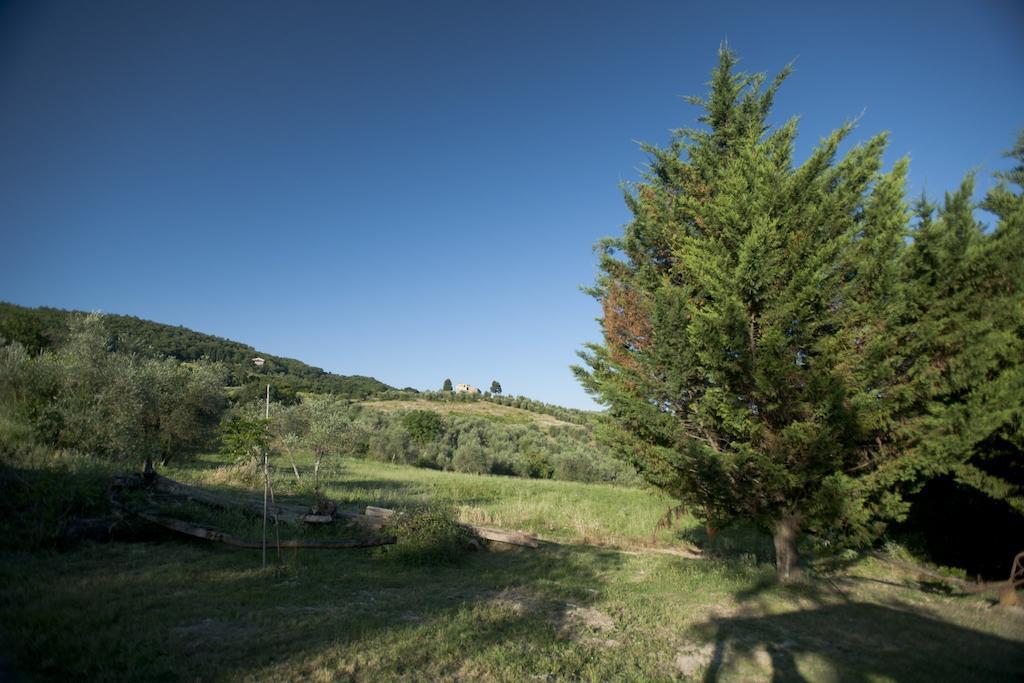 Agriturismo La Pieve Pelago Kültér fotó